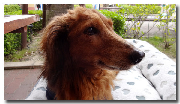 20150501055604.JPG