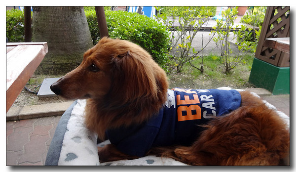 20150501055605.JPG