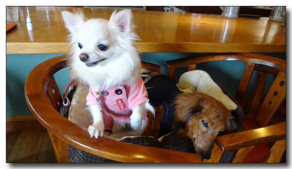 20150515084350.JPG