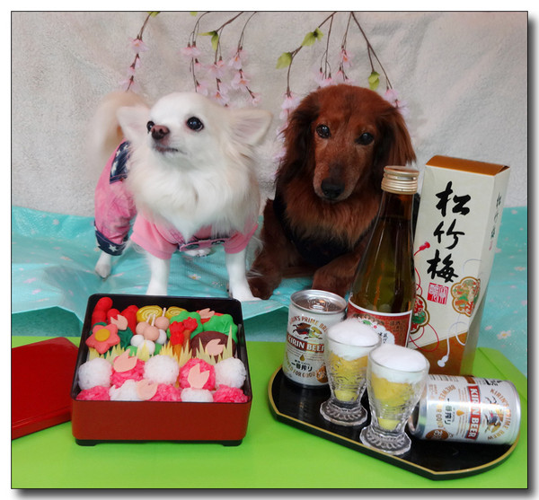 20150515084458.JPG