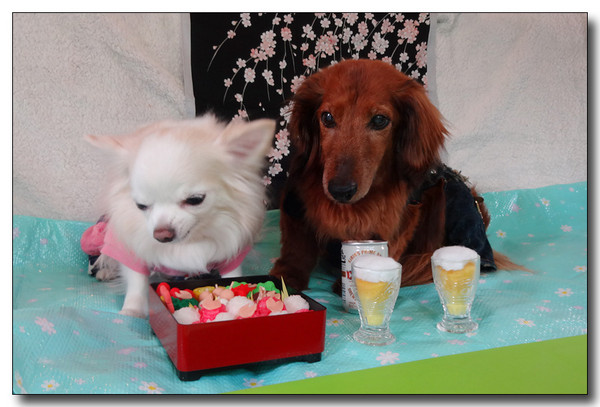 20150515084521.JPG