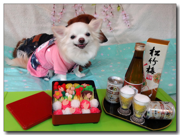 20150515090104.JPG