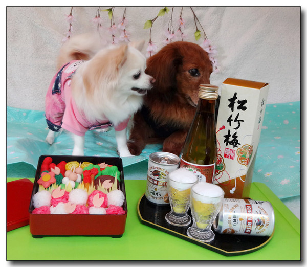20150515090105.JPG