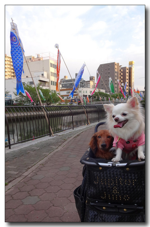 20150517003444.JPG