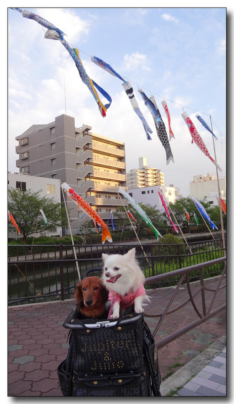 20150517003445.JPG