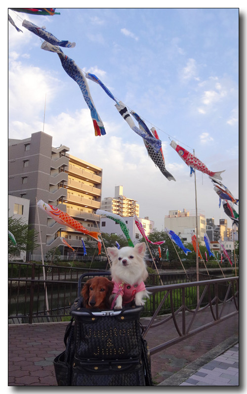 20150517003446.JPG