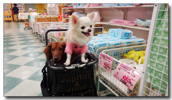 20150517005430.JPG