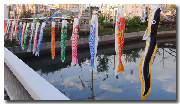 20150517012838.JPG