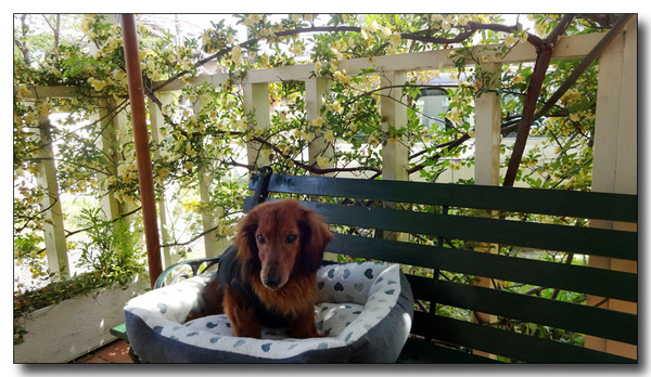 20150519053551.JPG
