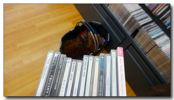 20150521162447.JPG
