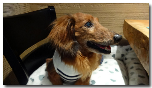 20150521170555.JPG