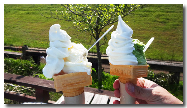 20150521203905.JPG