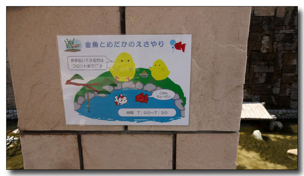 20150521222428.JPG