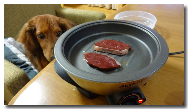20150522193226.JPG