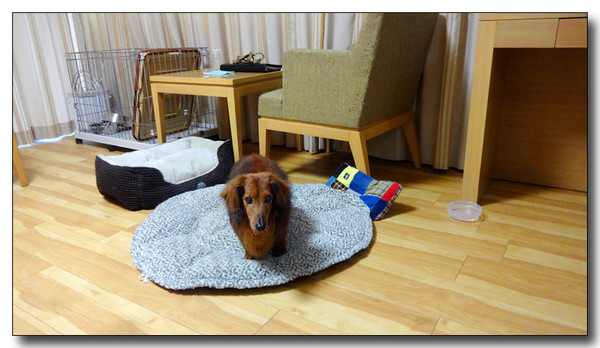 20150522194404.JPG