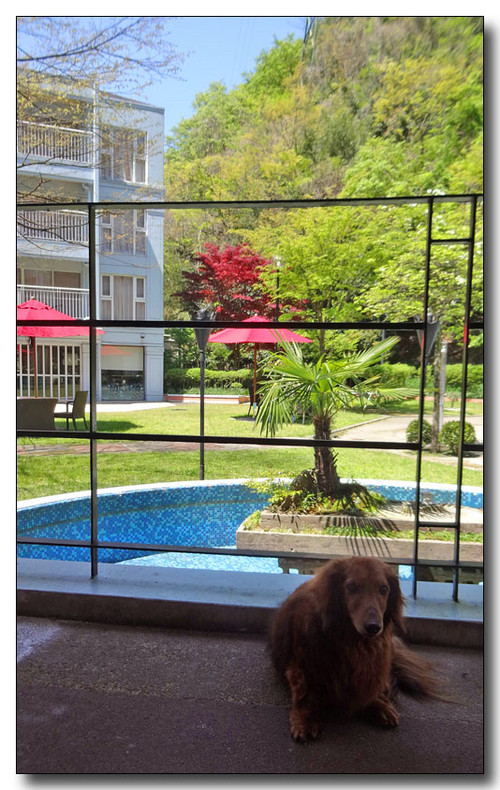 20150522194734.JPG
