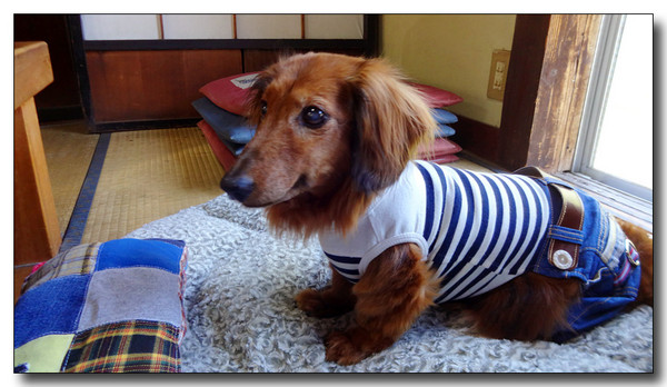 20150529075715.JPG