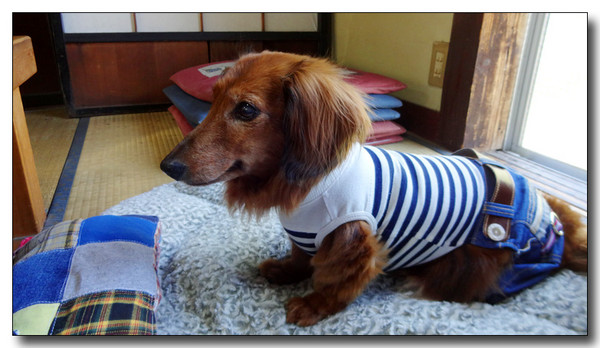 20150529075716.JPG