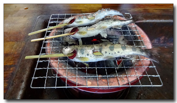 20150529075815.JPG