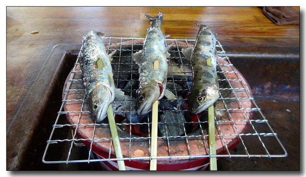 20150529112241.JPG