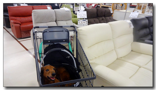 20150530235236.JPG
