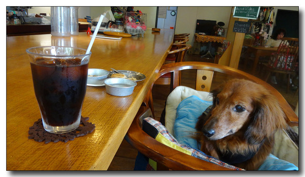20150531211309.JPG