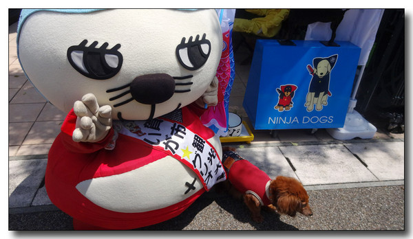 20150607183930.JPG