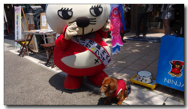 20150607183931.JPG