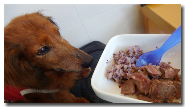 20150607184017.JPG