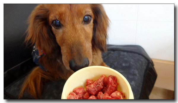 20150607184018.JPG