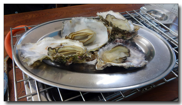 20150609041849.JPG