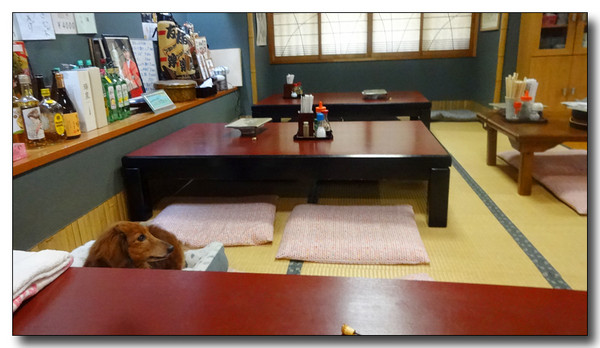 20150610220743.JPG