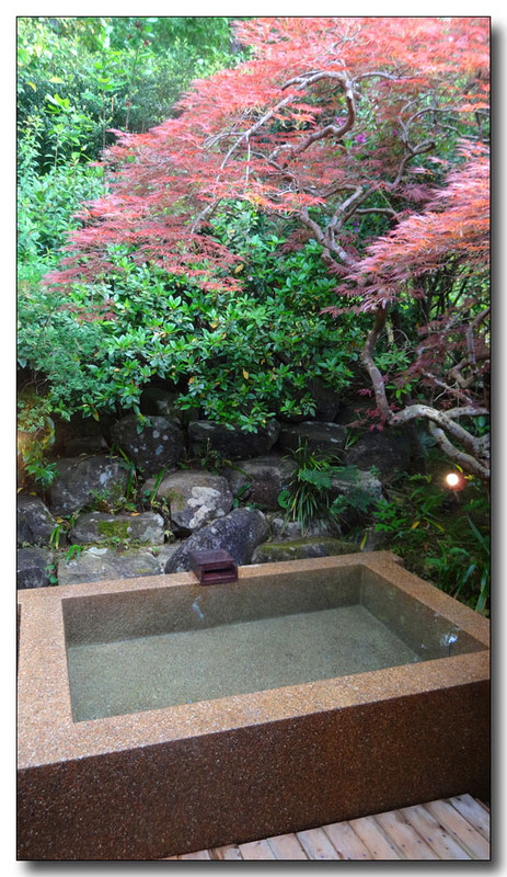 20150613101149.JPG