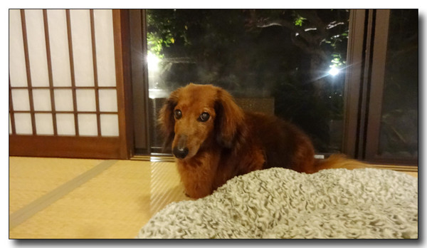 20150615095833.JPG