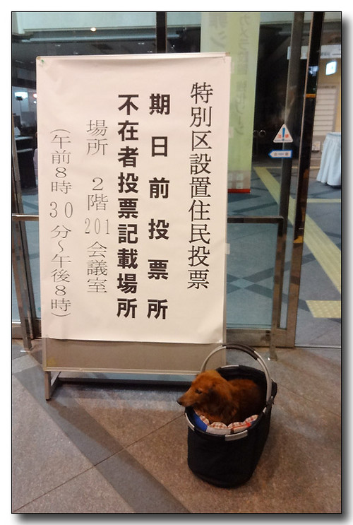 20150624102925.JPG