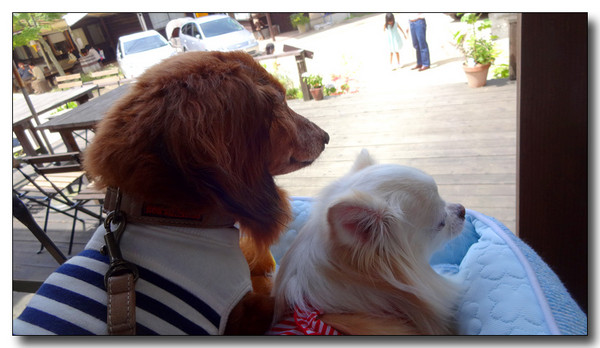 20150627055158.JPG