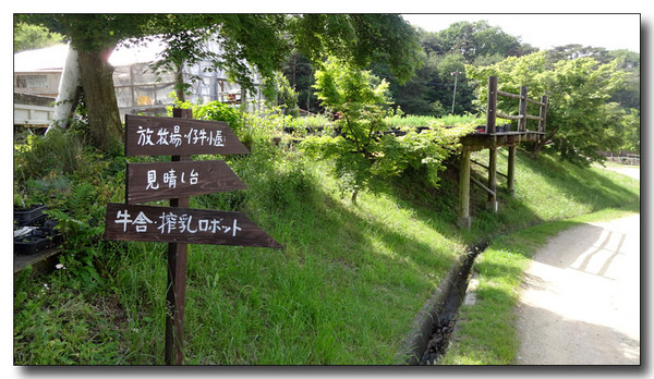 20150627055409.JPG