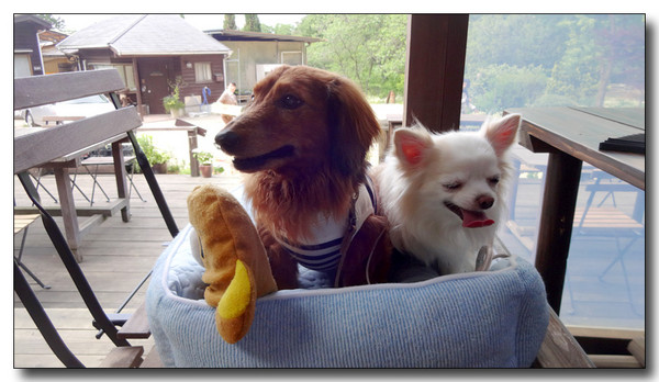 20150627055411.JPG