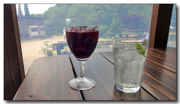 20150627055538.JPG