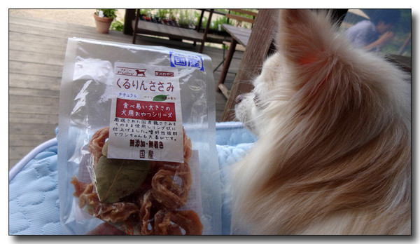 20150627055539.JPG