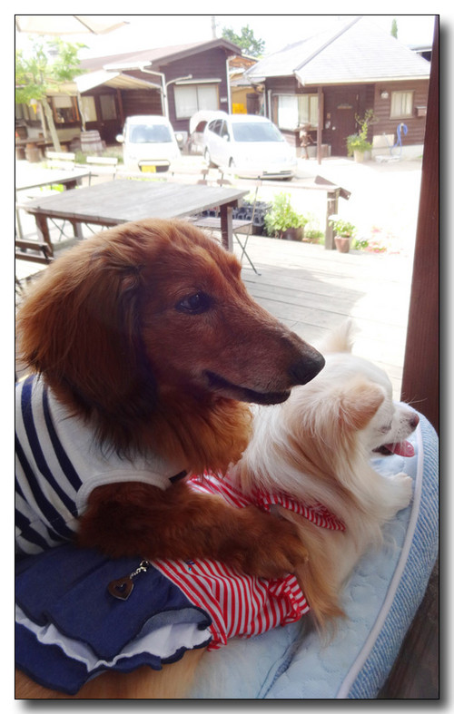 20150627055621.JPG