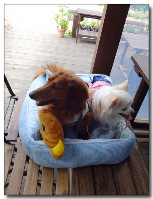 20150630083836.JPG