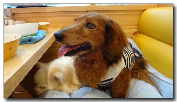 20150701212005.JPG