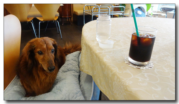 20150703075232.JPG