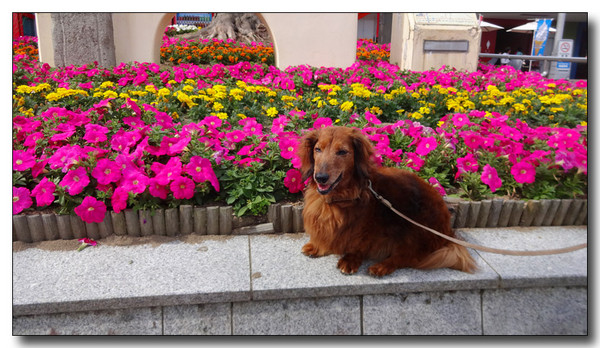 20150703212937.JPG