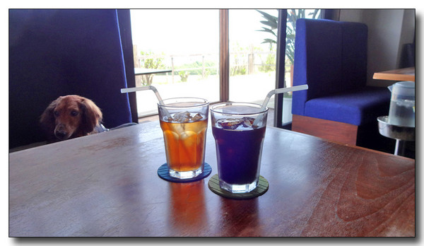 20150704190636.JPG