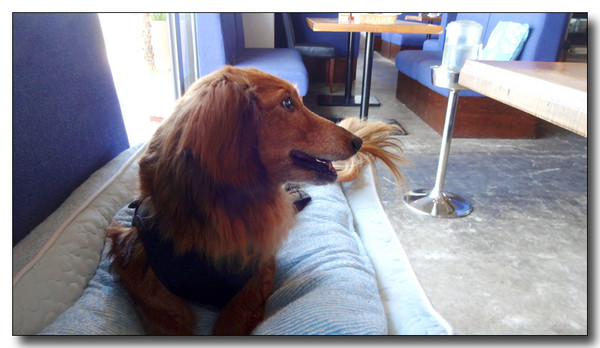 20150704190638.JPG