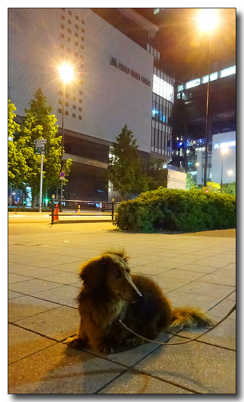 20150721135910.JPG