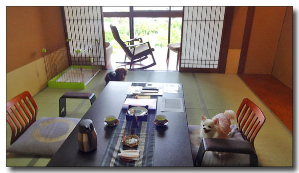 20150731153756.JPG