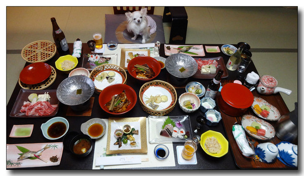 20150731180911.JPG